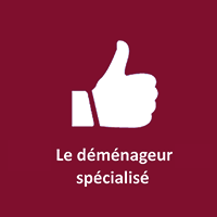 Le déménageur spécialisé